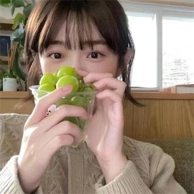 十三个原因第四季